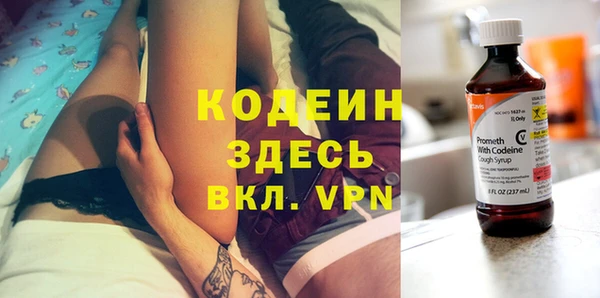 эйфоретик Бородино