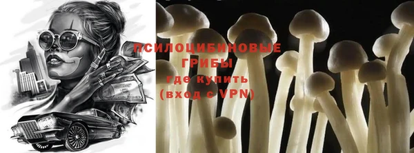 эйфоретик Бородино
