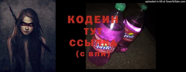 эйфоретик Бородино