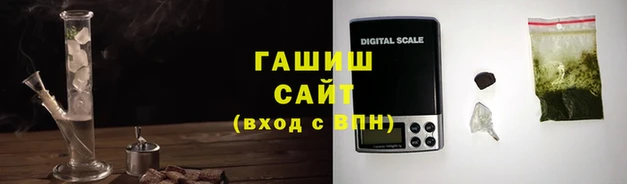 эйфоретик Бородино