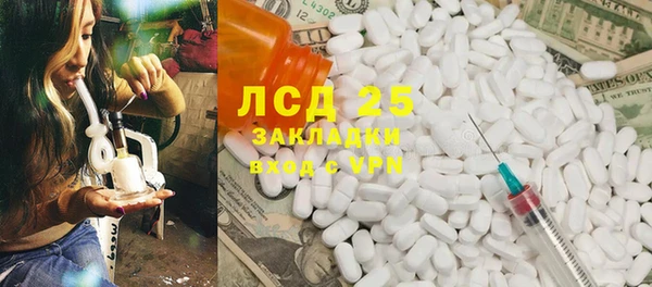 эйфоретик Бородино