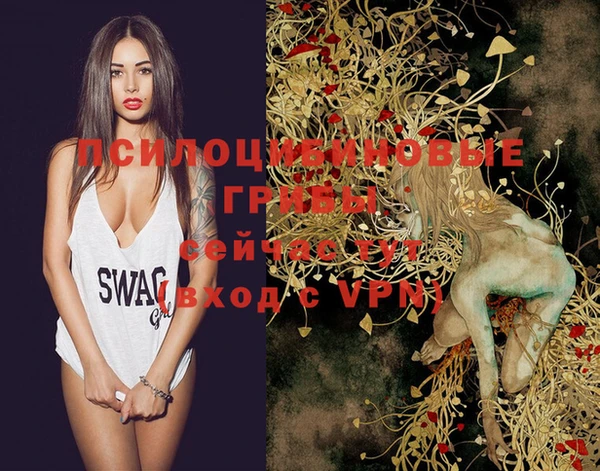 эйфоретик Бородино